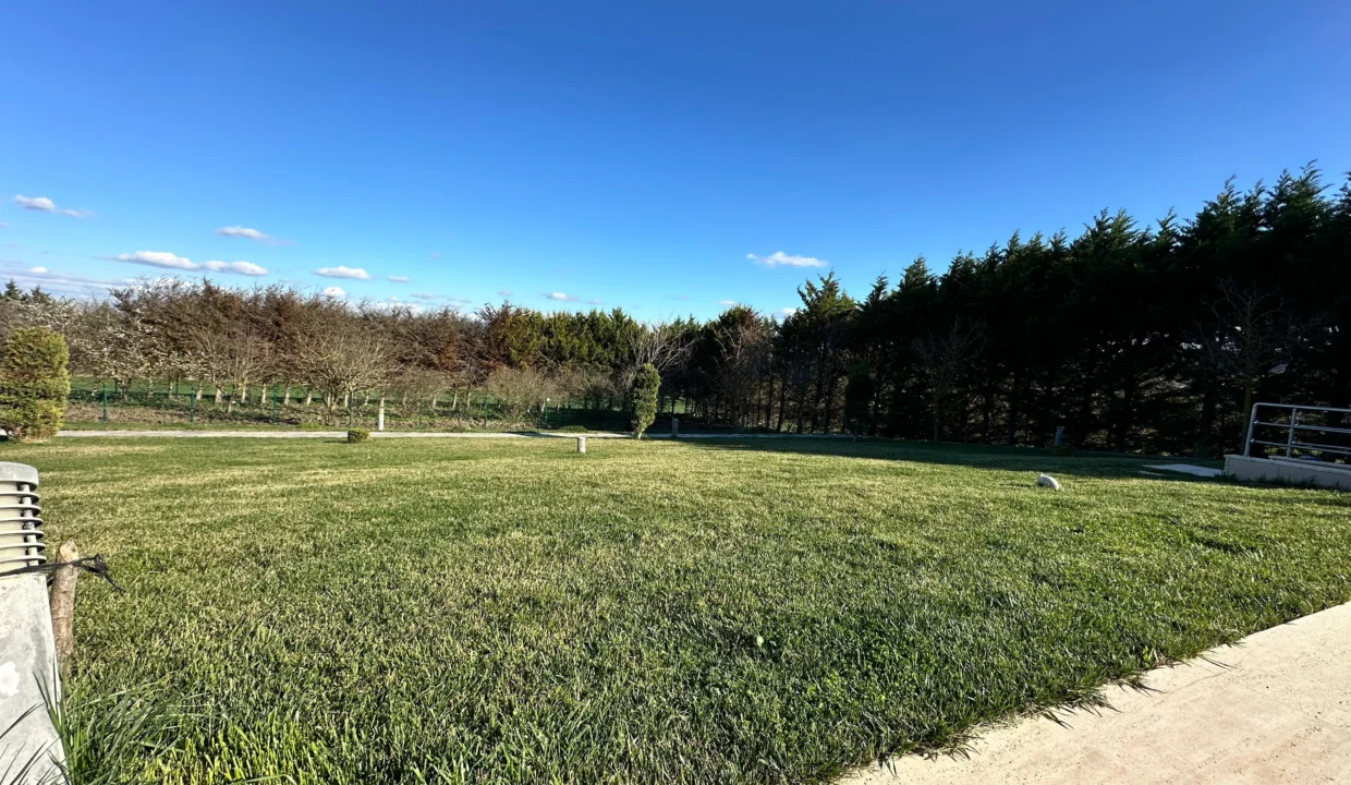 Catalca wooden house land estaport private portfolio13