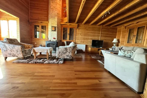 Catalca wooden house living room estaport private portfolio28