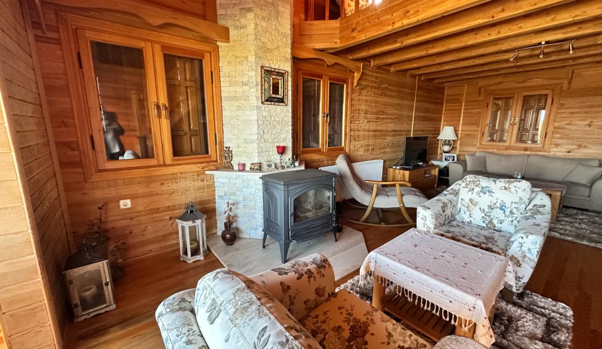 Catalca wooden house L.room  estaport private portfolio3