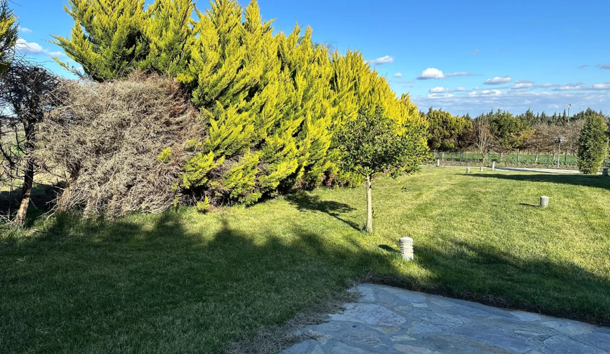 Catalca wooden house garden estaport private portfolio6